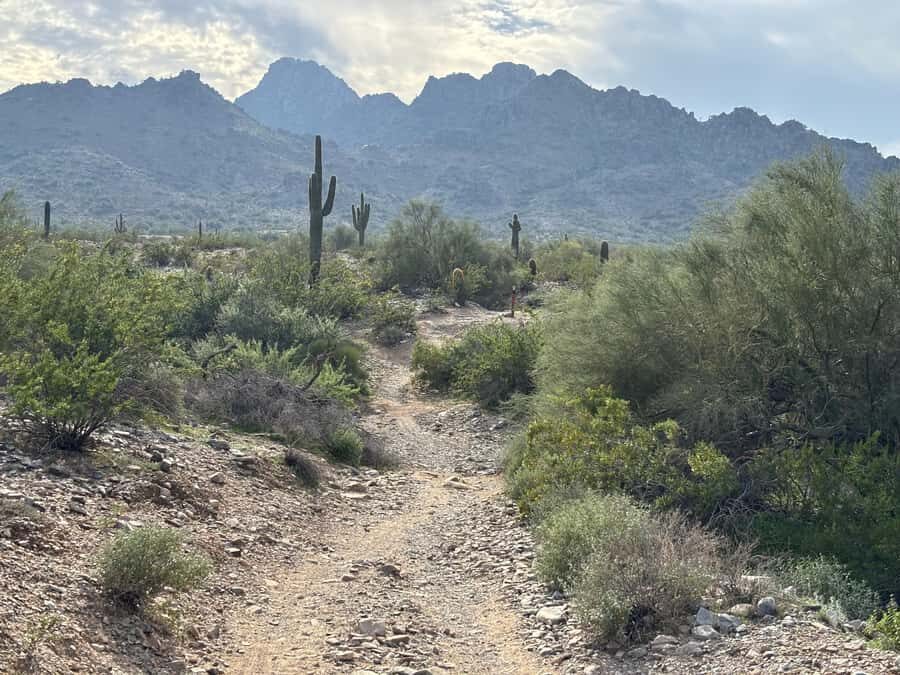 Phoenix: Guided Mountain Bike Adventure in Sonoran Desert - The Itinerary: What You Can Expect