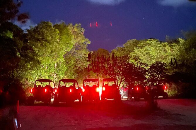 Polaris At Night, Waterfall Pool + Surf & Turf Dinner - The Wonders of the Night Jungle