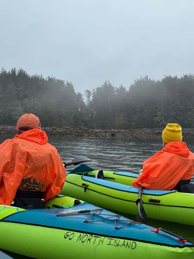 Port Hardy: Keogh River Bear/Wildlife Kayak Tour - The Experience in Detail