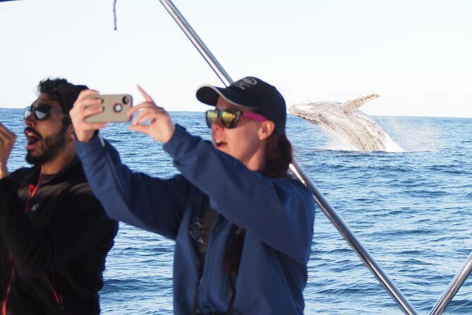 Port Stephens 3 Hour Whale and Dolphin Watch Cruise - Who Should Consider This Tour?