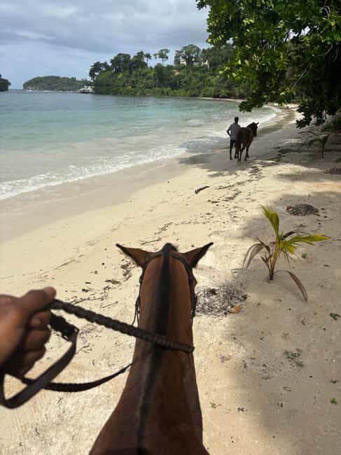 Portland, Jamaica: Horseback Riding Tour - Who Will Love This Tour?