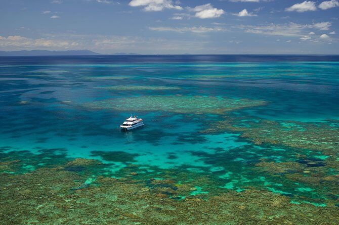 Poseidon Outer Great Barrier Reef Snorkeling and Diving Cruise from Port Douglas - What Makes This Tour Stand Out