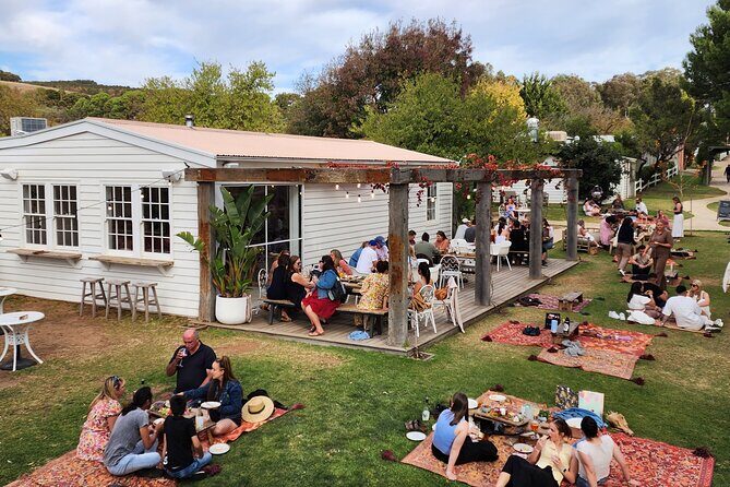 Premium Private Minibus Wine Tour 5 to 10 Guests - Transportation and Timing