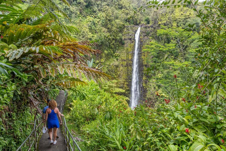 Private: All Inclusive Big Island Waterfalls Tour - What Makes This Tour Stand Out