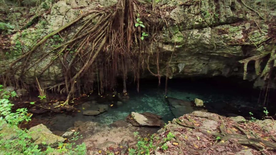 Private: Bayahibe: Jungle Walk and Cenote Snorkeling Tour - What Makes This Tour Special?