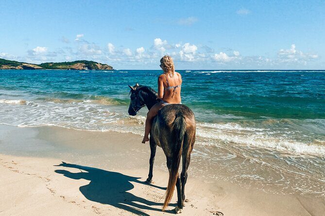 Private Beach Picnic Horseback Ride with Sandy Hoofs St. Lucia - Authentic Experiences and Traveler Insights