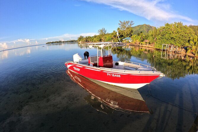 Private Big Game Fishing Day - What the Reviews Say