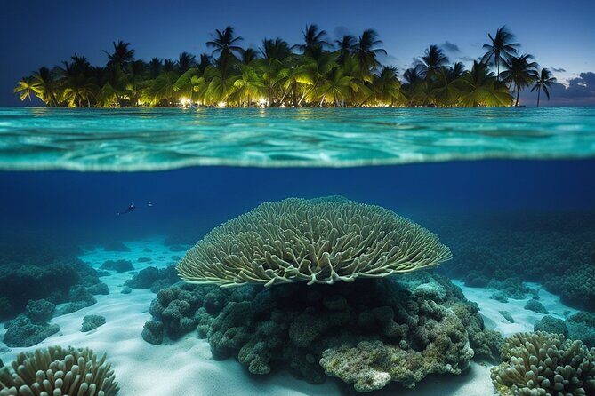 Private Bioluminescent Bay Tour - The Itinerary Breakdown