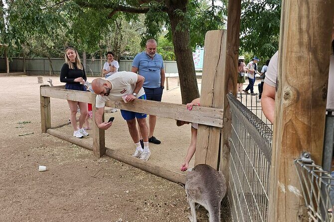PRIVATE Blue Mountains Scenic World Australian Wildlife & Cruise - The Experience in Context: What Makes This Tour Stand Out