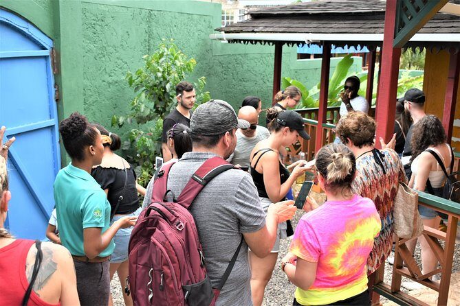 Private Bob Marley Nine Mile & Kingston Tour Combo from Runaway Bay - Analyzing the Value and Practicalities