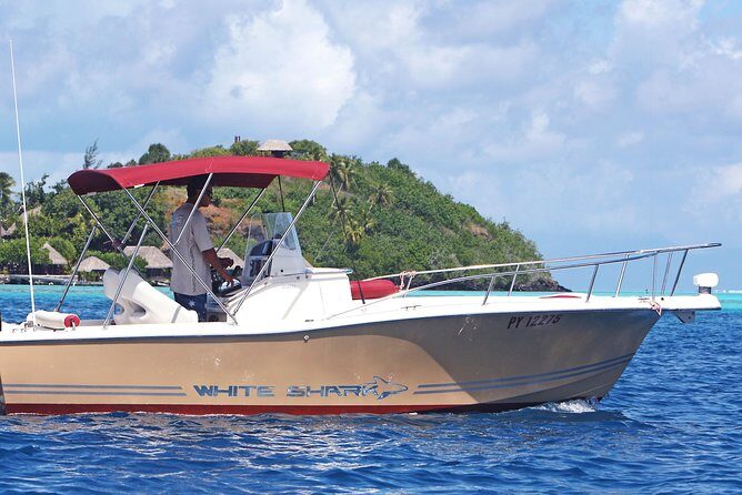 Private Bora Bora Lagoon Experience - Why This Tour Works