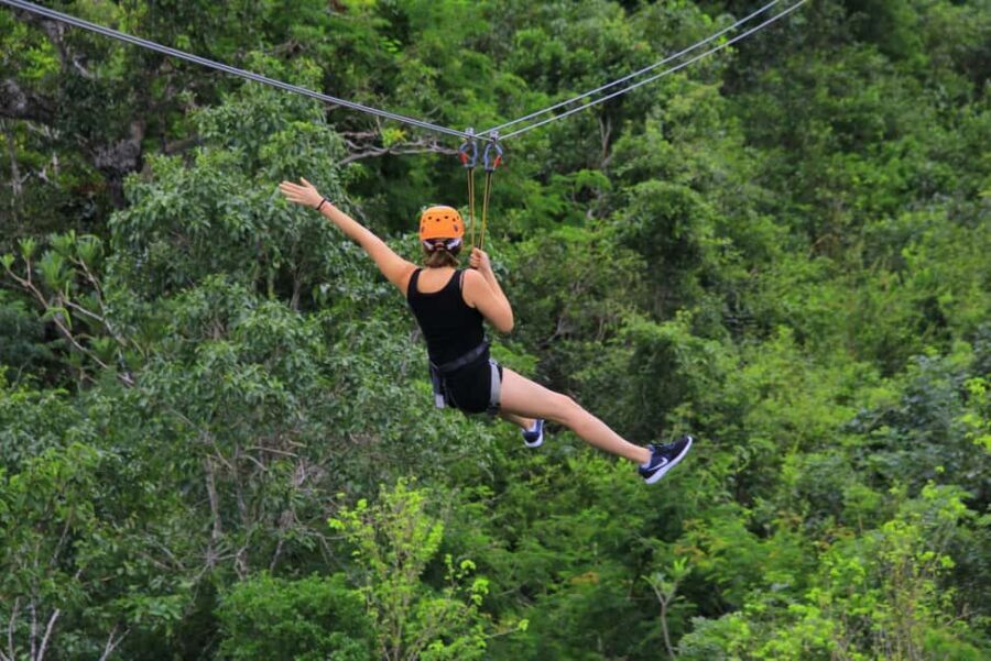 Private: Canopy Zip-Line Adventure in Punta Cana - The Experience and Its Value