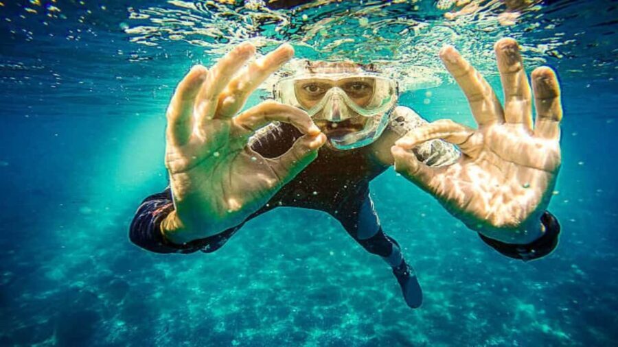 Private: Catalina Island Diving Tour with Lunch - The Real Value of This Tour