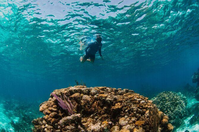 Private Charter Reef fishing, Stingray City, Snorkel, Mangroves - Who Should Book This Tour?