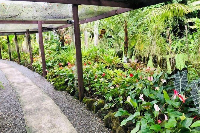 Private Denarau Shore Excursion - Temple, Shopping, Market, Garden & Mud Pool - Why This Tour Works Well