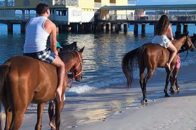 Private Evening Horse Ride on the Beach - What to Expect from the Private Horse Ride