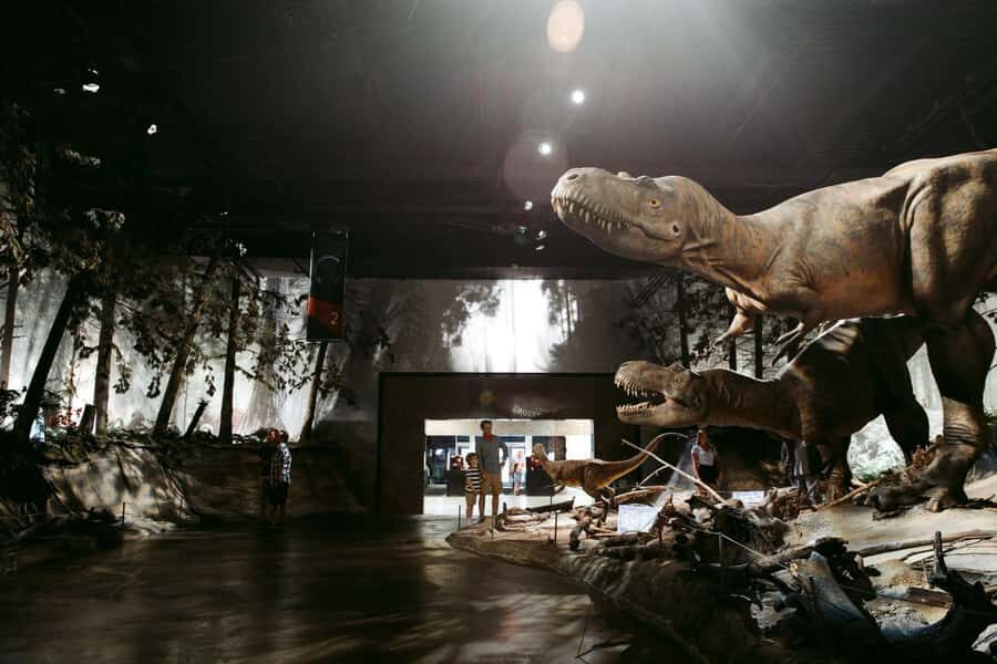 Private Exclusive Drumheller : Museum, Hoodoos & Dinosaurs - Analyzing the Value