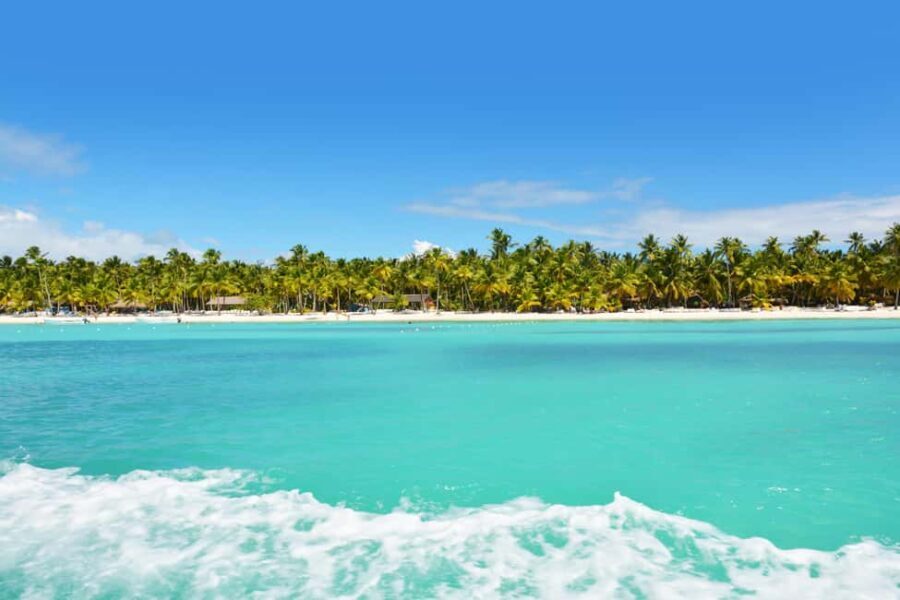 Private: Exclusive Saona Island VIP Speedboat Charter - Saona Island: A Picture-Perfect Paradise