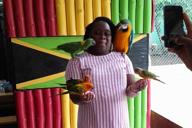 Private Gibbons Tour Outpost Experience - Value and Overall Impression