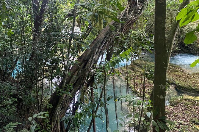 Private Horseback Riding with Blue Hole River Tour in Montego Bay - What’s Included and What’s Not