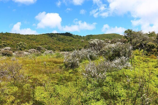 Private Kaitoke Hot Springs Soak and Walk Tour in Great Barrier - Practical Considerations