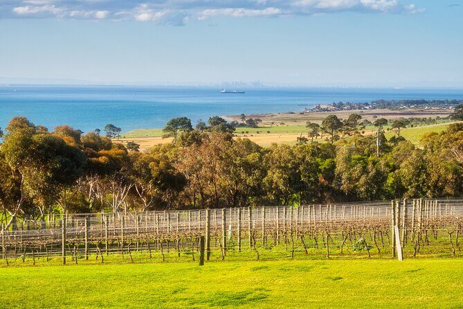 Private Shore Tour: Bellarine Peninsula Wine Experience - A Close Look at the Itinerary: What to Expect