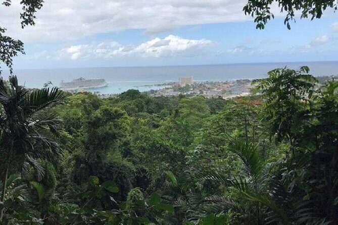 Private Sightseeing Tour in & Around Ocho Rios - What Makes This Tour Stand Out?