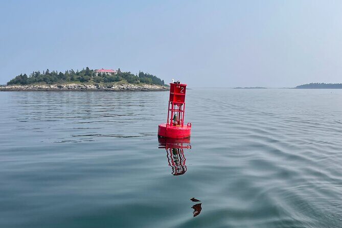 Private Small Group Wildlife Eco Tour in Kennebunkport - Wildlife and Nature: What to Expect