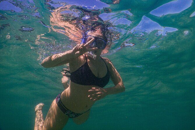 Private Snorkeling Tour In Sydney's Marine Reserve - The Marine Environment: What You’ll See