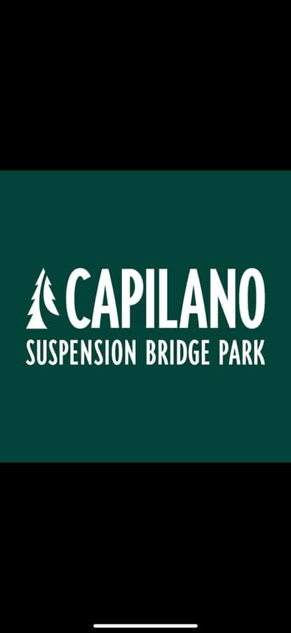Private Tour of Capilano Suspension Bridge & Grouse Mountain - Transportation, Timing, and Value