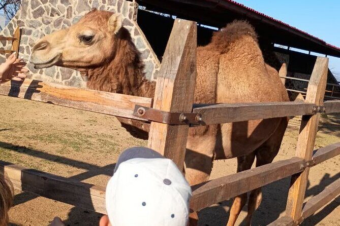 Private Tour Pyramids Guachimontones and Tequila and Swing Xtremo - The Heart of Mexico’s Spirit: Tequila Tres Mujeres