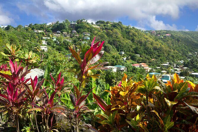 Private Tour Saint Lucia Unique Cultural Immersion Experience - Practicalities and Value