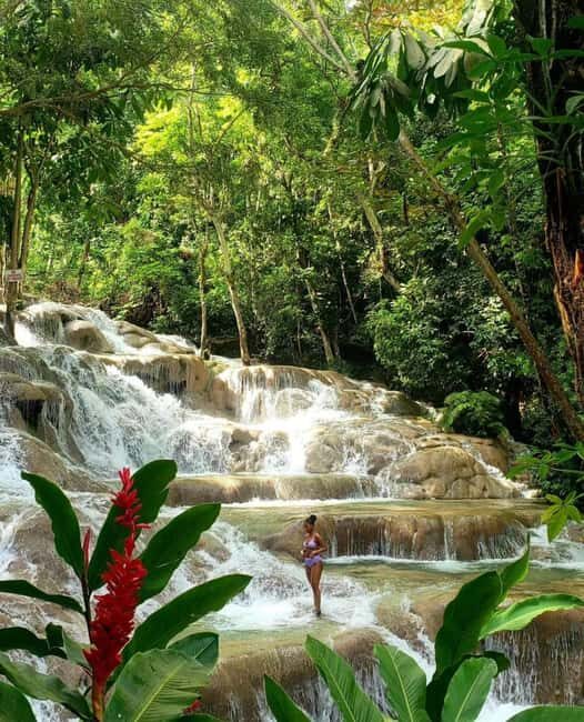 Private Tour to Dunns River and Blue Hole from Montego Bay - What Sets This Tour Apart?