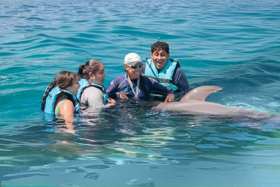 Puerto Aventuras: Dolphin Connection & Manatee Interaction - What Makes This Tour Stand Out