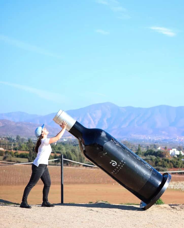 Puerto Nuevo & Valle de Guadalupe Tour with Lunch and Wine - A Practical Guide to the Tour