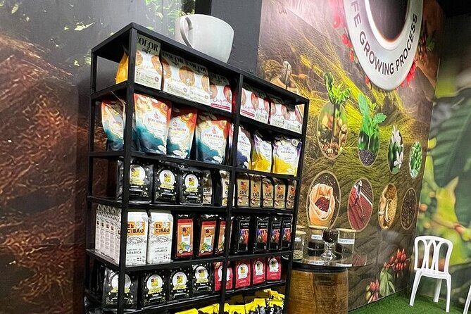 Puerto Plata City Tour - Who Should Consider This Tour?