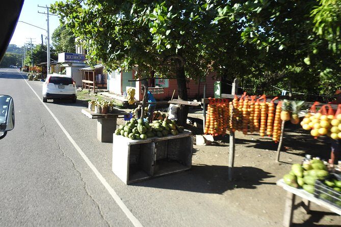 Puerto Plata : Dominican Day Life + Waterfalls of Damajagua (SAFARI FULL DAY) - Authenticity and Value