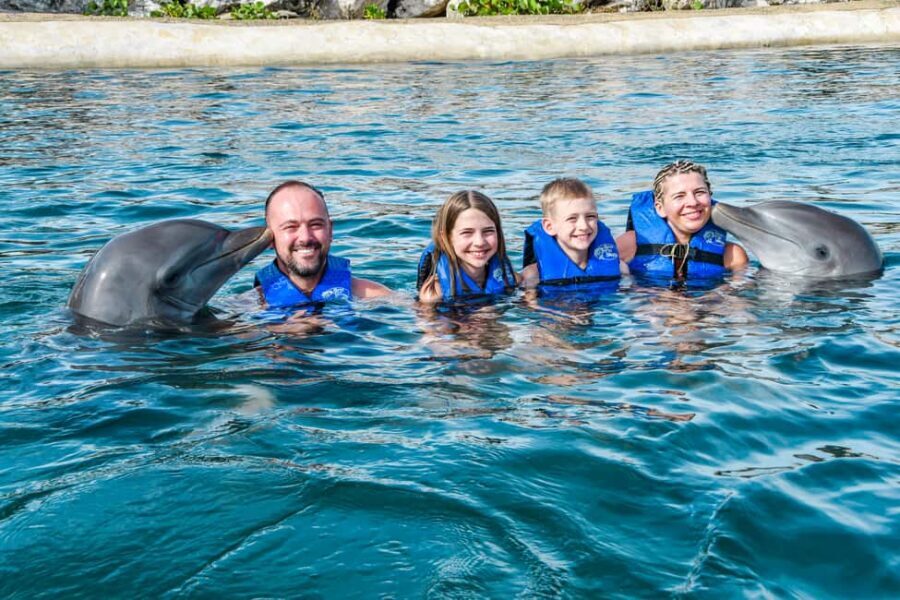 Puerto Plata: Ocean World Adventure Park Swim with Dolphins - Transportation, Timing, and Practicalities