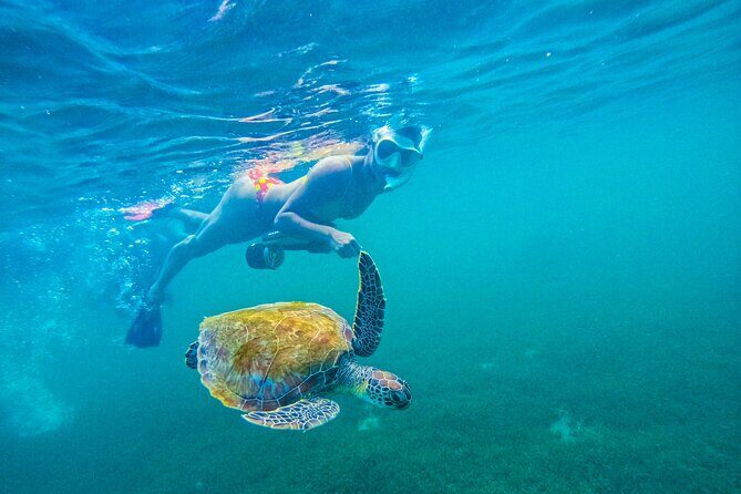 Puerto Rico Jet Snorkel with Turtles and Videos in San Juan - The Itinerary: A Closer Look