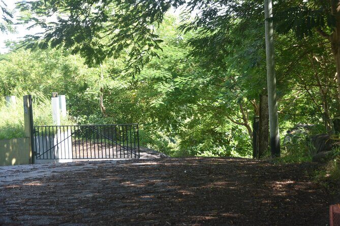 Puerto Rico Waterfall Hiking Tour: Discover Hidden Gems 2.0 - What Sets This Tour Apart?