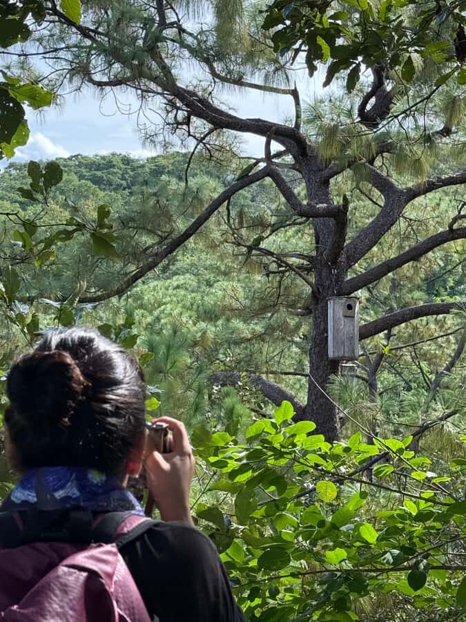 Puerto Vallarta: Guided Tour to the Macaw Sanctuary - What to Expect at the Sanctuary
