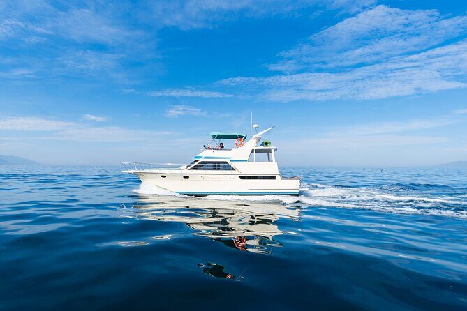 Puerto Vallarta Private Yacht: Half Day Tour (4h) - What’s Involved in the Itinerary?