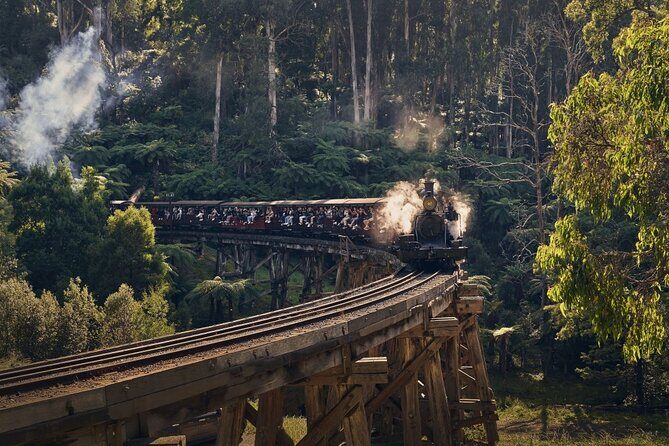 Puffing Billy Train&Healesville Sanctuary&Yarra Valley Wine Tour - An In-Depth Look at the Itinerary