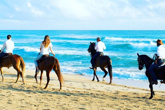 Punta Cana Beach Horseback Riding - Who Should Consider This Tour?