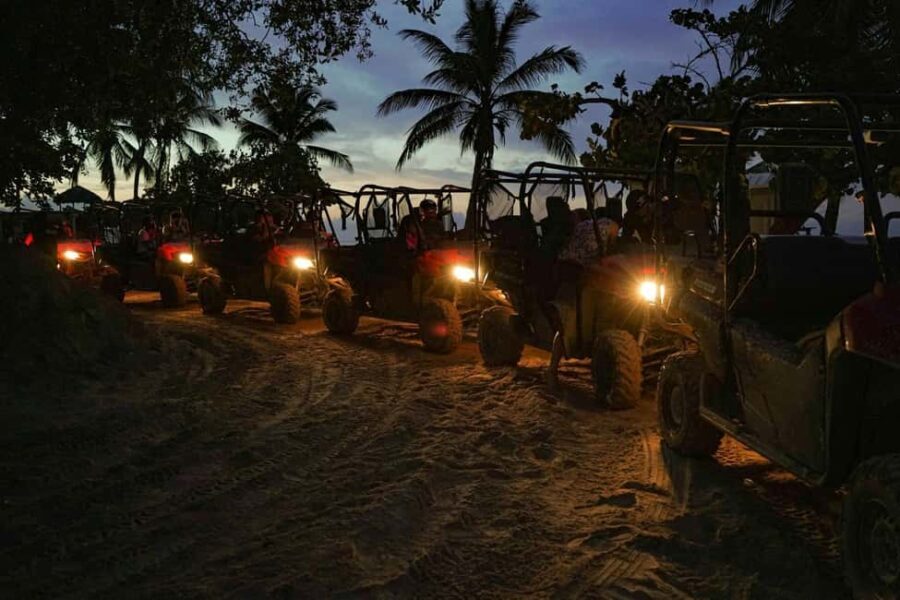 Punta Cana: Buggy Ride, Dinner and Taino Party - Practical Details: What You Need to Know