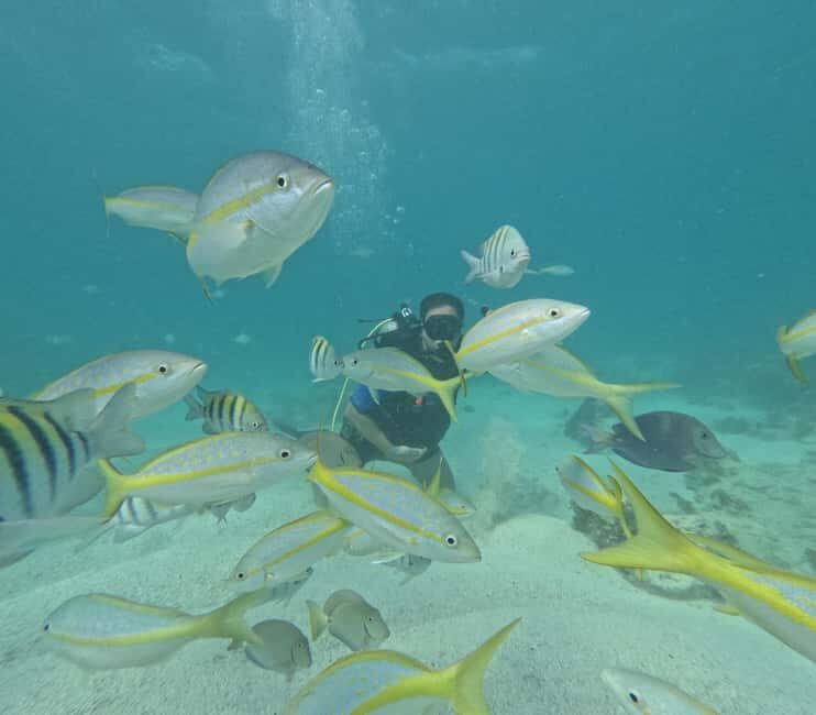 Punta Cana: Discover Scuba Diving Experience for Beginners - What Travelers Should Know