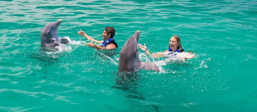 Punta Cana Dolphin Experience: 50 Minutes of Water Fun - What You Can Expect During the Tour