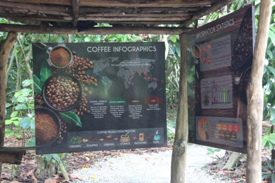 Punta Cana E-bike tour: Macao, El Salado, Ceiba, El Caño - What Travelers Say