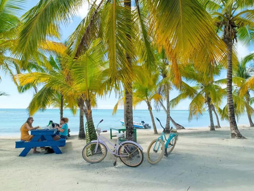 Punta Cana: Isla Saona Day Trip with Catamaran Cruise - What Makes This Tour Valuable