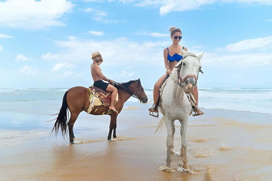 Punta Cana: Macao Beach & Forest Horseback Riding Tour - The Value of the Experience